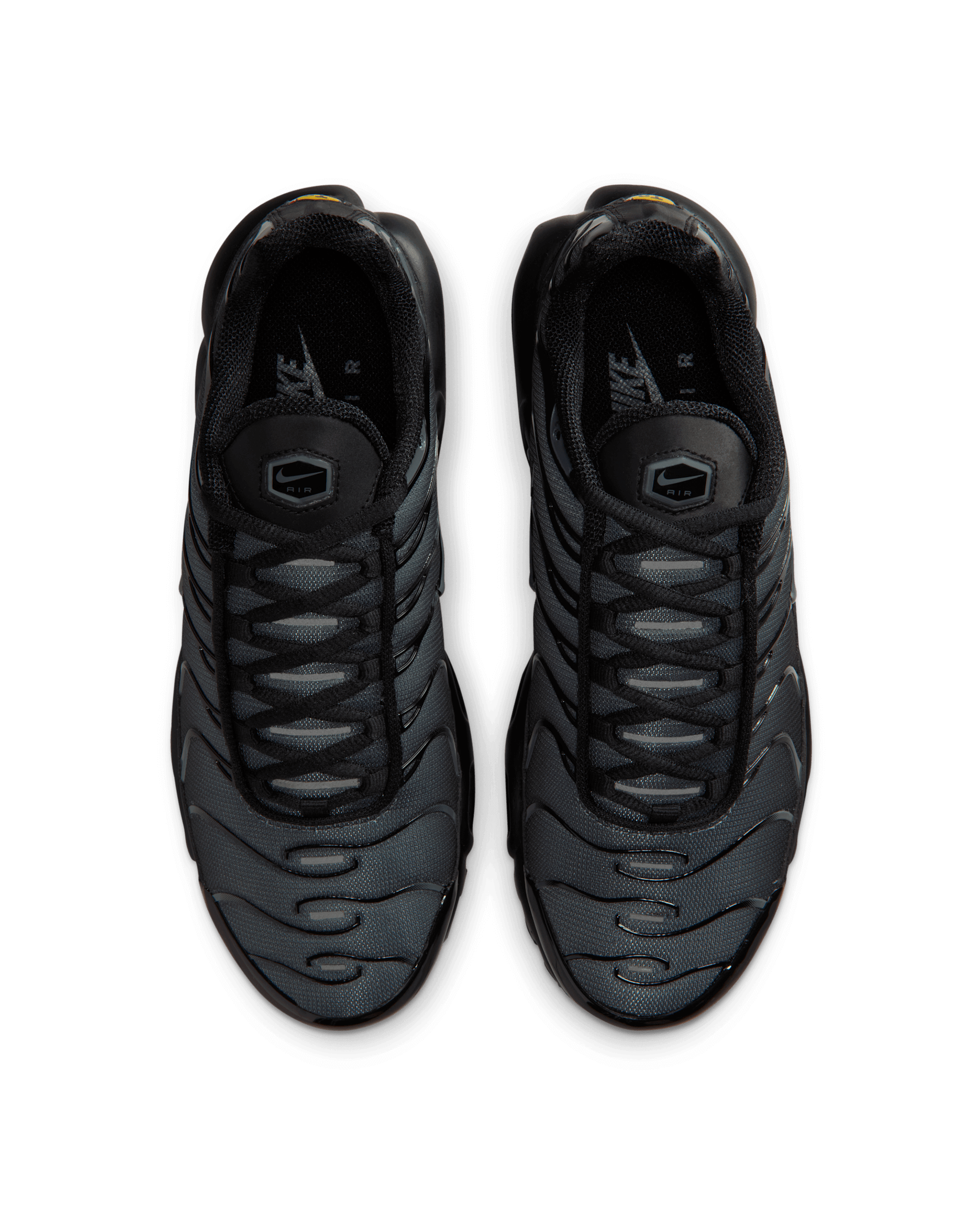 TN . NIKE AIRMAX PLUS (Gris et Bleu)